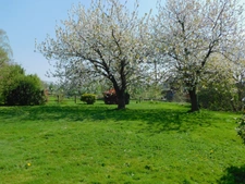 Maison à vendre 6 pièces LA CHAPELLE JANSON (35)