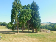 Maison à vendre 6 pièces FLEURIGNE (35)