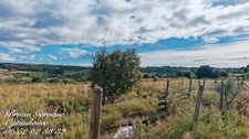 Propriété avec deux villas récentes sur 2,5 hectares à proximité de Plaissan et Villeveyrac