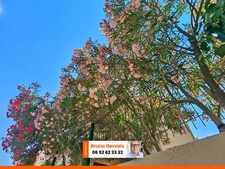 Maison familiale 150 m² avec garage, bureau indépendant, terrasse et grand espace de stockage à Frontignan