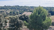 Propriété avec deux villas récentes sur 2,5 hectares à proximité de Plaissan et Villeveyrac