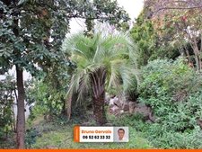 APPARTEMENT AVEC TERRASSE ET JARDIN A 10 MN SECTEUR HÔPITAUX-FACS DANS RESIDENCE AVEC PISCINE