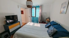 Propriete à vendre constituée de 2 maisons individuelles à BALARUC LES BAINS (34)