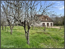Montpon Ménestérol - Maison 4 chambres + bureau et terrain 5427m²