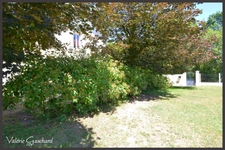 St seurin sur l'isle - Maison 150 m² + hangars sur 3800 m² de terrain 