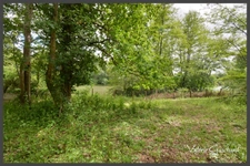 Le Pizou - Maison 130 m² de 3 chambres /3 salle d'eau , terrain de 1,9ha
