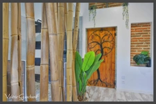 Le pizou - Maison en pierre 257 m² + piscine, nombreuses dépendances et terrain