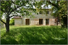Proche St Seurin sur l'Isle Maison 5 chambres + bureau , dépendances et grand terrain 