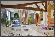 Le pizou - Maison en pierre 257 m² + piscine, nombreuses dépendances et terrain