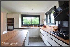 Le Pizou - Maison 130 m² de 3 chambres /3 salle d'eau , terrain de 1,9ha