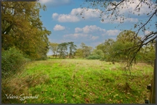 Chartreuse 250 m² + 400 m² de dépendances et 6 ha de terrain 