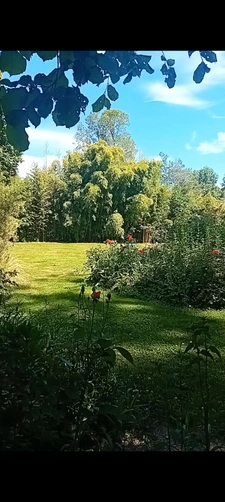 Ensemble immobilier Gîtes-Chambre d'Hôtes- événementiel  à vendre- 23 pièces Proche THURY-HARCOURT