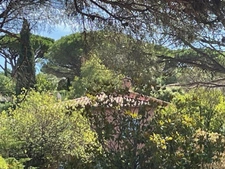 Maison 6 pièces SAINTE MAXIME (83)