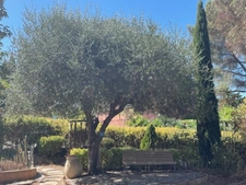 Maison 6 pièces SAINTE MAXIME (83)