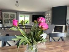 NESMY - Maison 4 chambres 129 m², 931 m² jardin clos