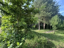 Aubigny-Les Clouzeaux, maison en pierre 212 m² charme champêtre avec env. 5900 m² de parc