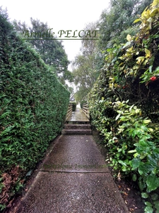 MAISON TYPE COTTAGE 2 PIÈCES 30,06M2 CABOURG AVEC JARDIN TERRASSES CABANON PLACE PARKING PRIVATIVE 165 000€