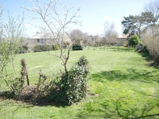 MAISON DOMINANTE