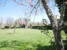 MAISON DOMINANTE