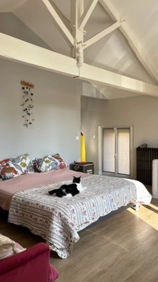 Propriété de caractère en pierre - 376 m² - Piscine chauffée -  Panneaux solaires - Champigny à 10minutes de N. de Poitou