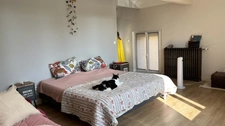 Propriété de caractère en pierre - 376 m² - Piscine chauffée -  Panneaux solaires - Champigny à 10minutes de N. de Poitou