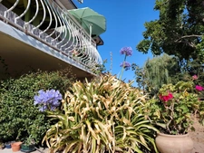 Maison Familiale de 137 m² avec sous-sol à 5 minutes de Chatellerault sur un Terrain de 1530 m²