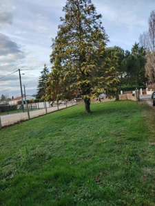 A vendre- Maison spacieuse avec jardin arboré à Fontaine le Comte