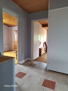 Maison + bois
