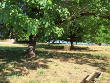 Grange