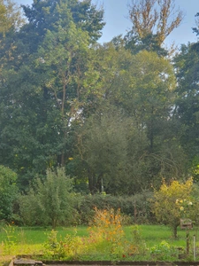 Maison à rénover, proximité Mutzig - Molsheim, 99 m² habitable, terrain 850 m²  