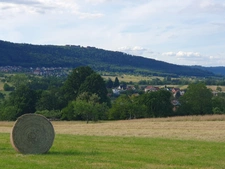 Maison 200 m², 6 pièces, terrain 1800 m², THAL/MARMOUTIER-SAVERNE  (67)