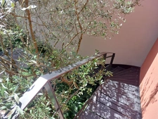 MAISON BOURGEOISE 1920 DE 275M2 RENOVEE EN 2020 AVEC 2 JARDINS TERRASSE PATIO VERANDA GARAGE CAVES 660K€ ALBI CENTRE