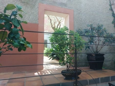 MAISON BOURGEOISE 1920 DE 275M2 RENOVEE EN 2020 AVEC 2 JARDINS TERRASSE PATIO VERANDA GARAGE CAVES 660K€ ALBI CENTRE