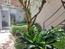 MAISON BOURGEOISE 1920 DE 275M2 RENOVEE EN 2020 AVEC 2 JARDINS TERRASSE PATIO VERANDA GARAGE CAVES 660K€ ALBI CENTRE