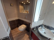 MAISON BOURGEOISE 1920 DE 275M2 RENOVEE EN 2020 AVEC 2 JARDINS TERRASSE PATIO VERANDA GARAGE CAVES 660K€ ALBI CENTRE