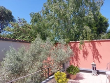 MAISON BOURGEOISE 1920 DE 275M2 RENOVEE EN 2020 AVEC 2 JARDINS TERRASSE PATIO VERANDA GARAGE CAVES 660K€ ALBI CENTRE