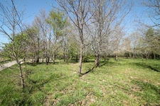 Terrain constructible plat et boisé 1137m² à vendre  proche de CASTELJALOUX (47) 