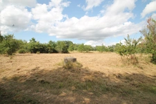 House for sale 7 rooms near MARMANDE (47) 334m² - Swimming pool - Tobacco drying shed - Land 51649m²