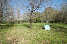 Terrain constructible plat et boisé 1137m² à vendre  proche de CASTELJALOUX (47) 