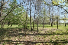 Terrain constructible plat et boisé 1050 m²à vendre  proche de CASTELJALOUX (47) 