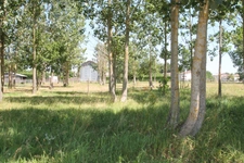 Ancien séchoir à tabac – 83 m² – Terrain de 3 650 m² – Potentiel de réhabilitation en habitation proche de CASTELJALOUX (47)
