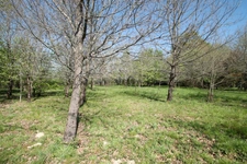 Terrain constructible plat et boisé 1029m² à vendre  proche de CASTELJALOUX (47) 
