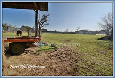 CORPS DE FERME Habitation + dépendances A RENOVER - 114m² - TERRAIN 3700m²