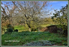 MAISON EN PISE A RENOVER - CHARME CALME ET POTENTIEL A ST PAUL D'IZEAUX