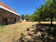 Havre de paix : Maison en pierre rénovée et son verger de 150 pommiers — Rare sur le marché