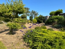 À seulement 5 km de Barneville-Carteret, charmante maison en pierre avec jardin arboré