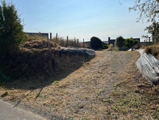 À seulement 5 km de Barneville-Carteret, charmante maison en pierre avec jardin arboré