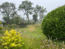 À seulement 5 km de Barneville-Carteret, charmante maison en pierre avec jardin arboré