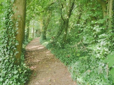 À Vendre – Domaine Touristique & Résidentiel avec Gîtes Insolites en Normandie