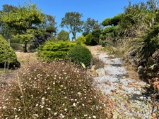 À seulement 5 km de Barneville-Carteret, charmante maison en pierre avec jardin arboré